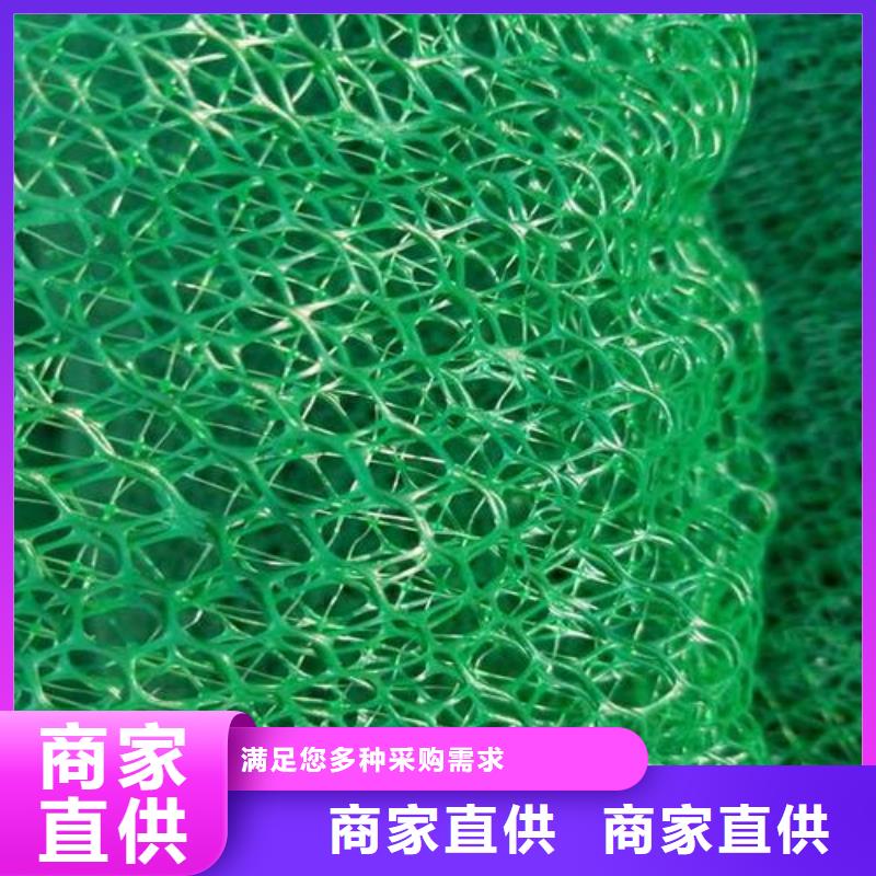 三维植被网【涤纶土工格栅】源头工厂量大优惠