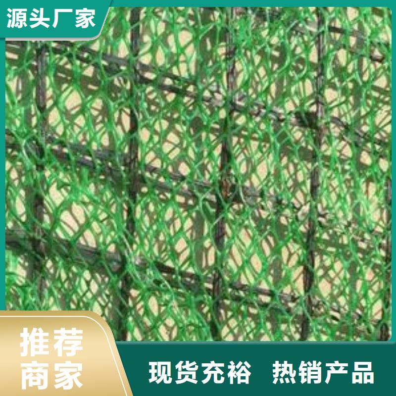 【三维植被网涤纶土工格栅快速报价】