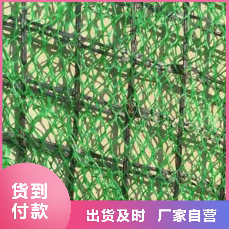 三维植被网水土保护毯以质量求生存