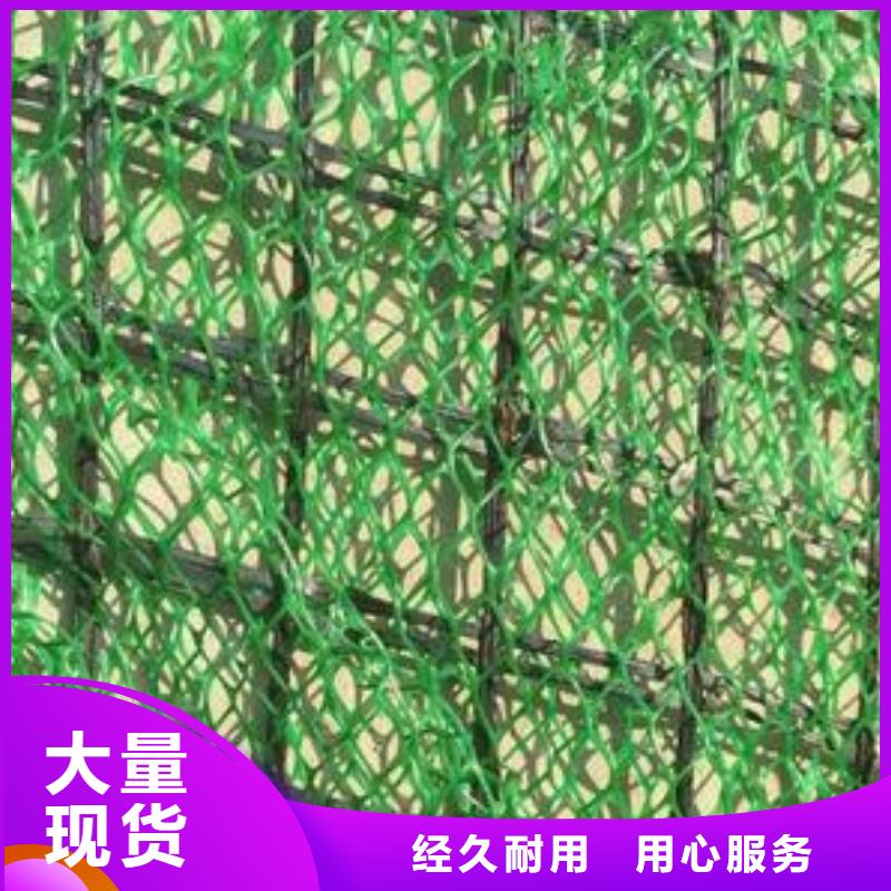 【三维植被网】涤纶土工格栅选择我们没错