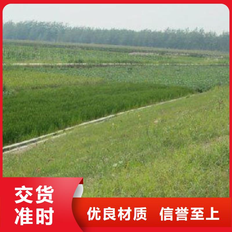 【三维植被网】涤纶土工格栅选择我们没错