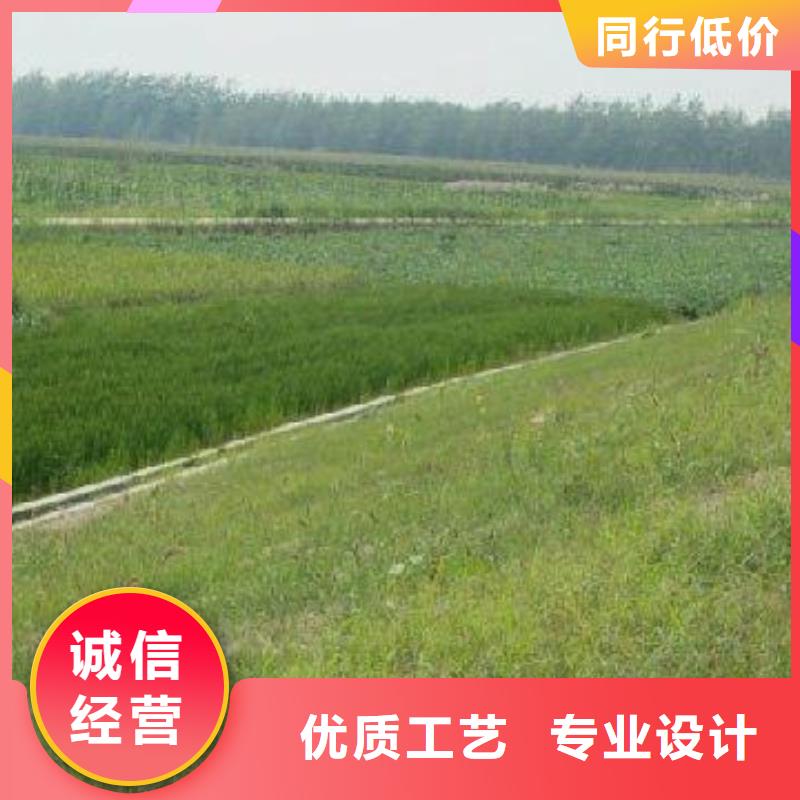 三维植被网,护坡土工网厂家直销省心省钱