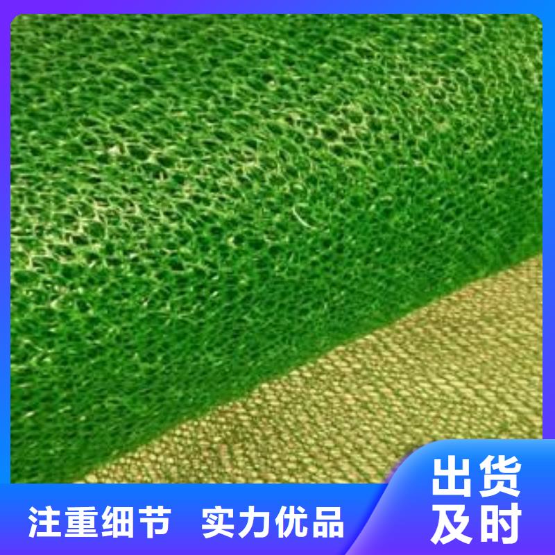 【三维植被网短丝土工布海量货源】