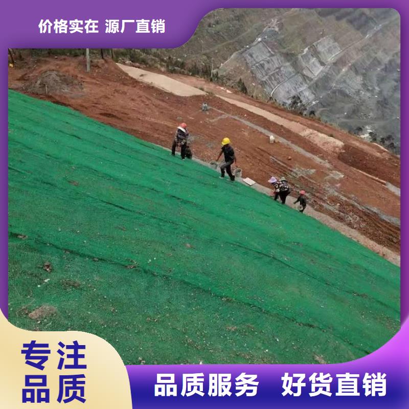 三维植被网凸结点钢塑土工格栅厂家货源