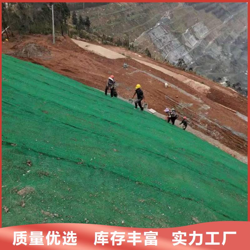 三维植被网【护坡土工网】价格合理