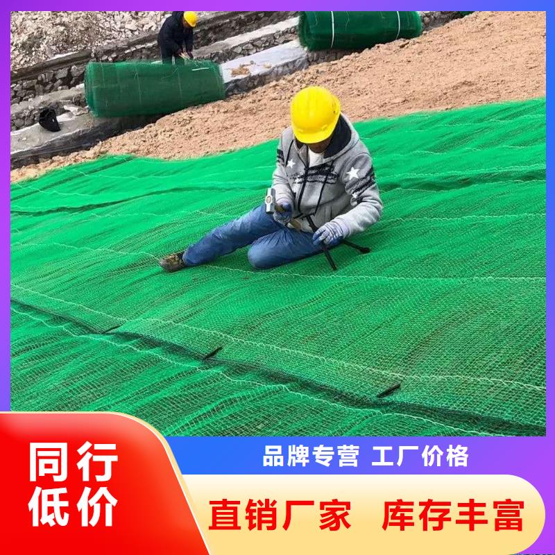 三维植被网玻纤土工格栅专业信赖厂家