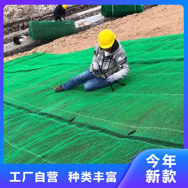 三维植被网-玻纤土工格栅有实力有经验