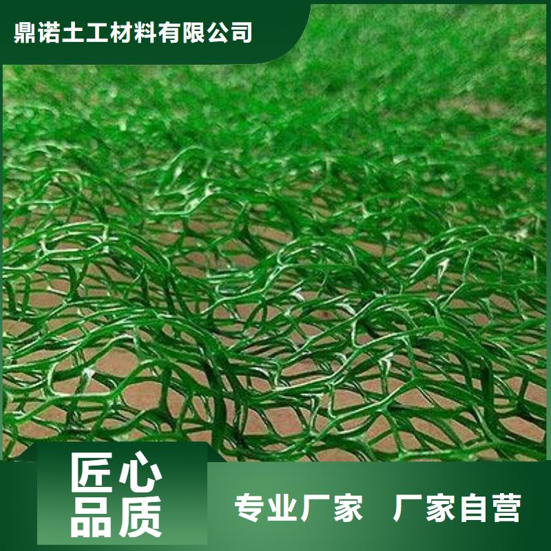 三维植被网【三维土工网垫】现货满足大量采购