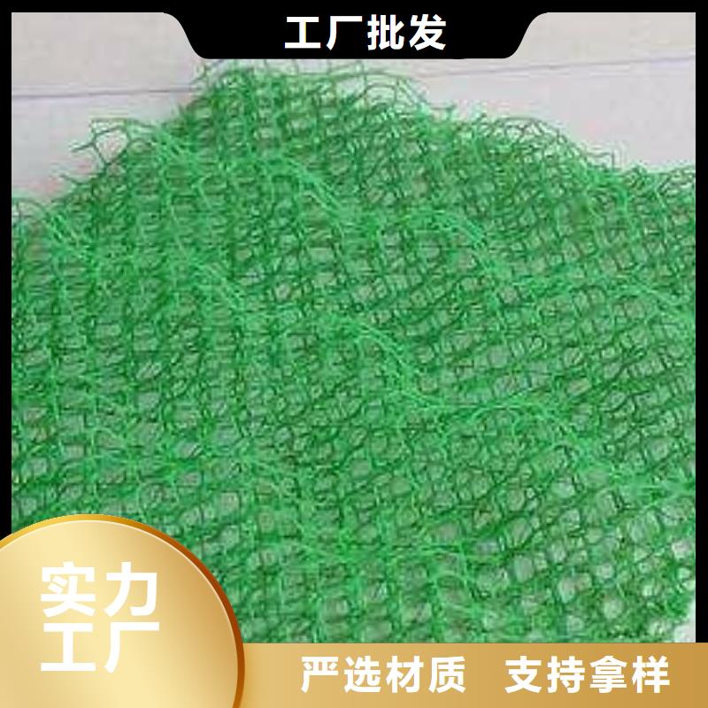 三维植被网长丝土工布支持大小批量采购