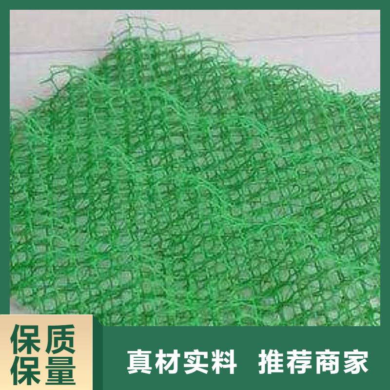 三维植被网,【护坡土工网】专业生产N年