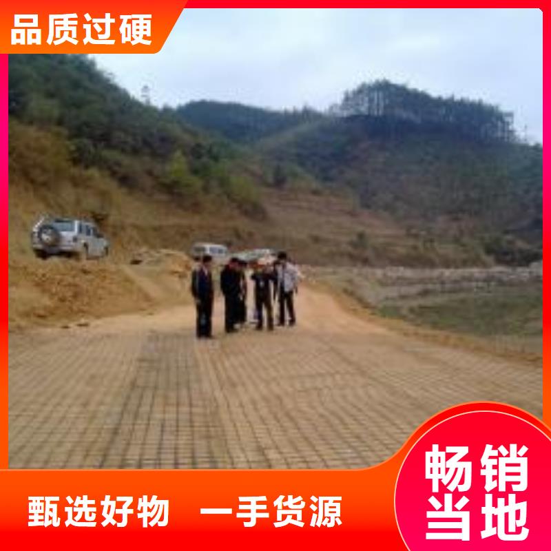 【钢塑土工格栅】_涤纶土工格栅精选好货