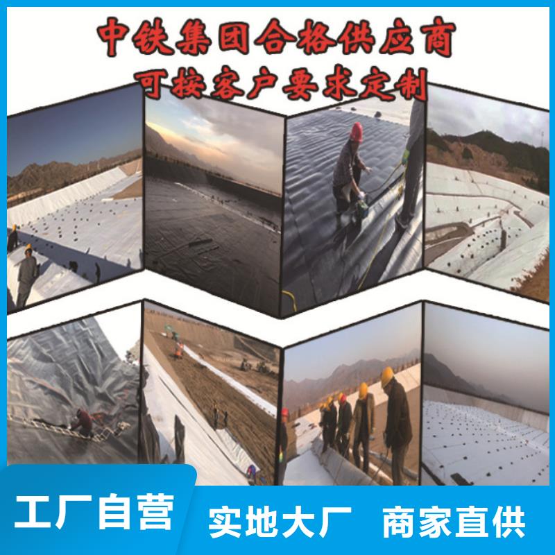 土工布钢塑土工格栅厂家源头工厂量大优惠