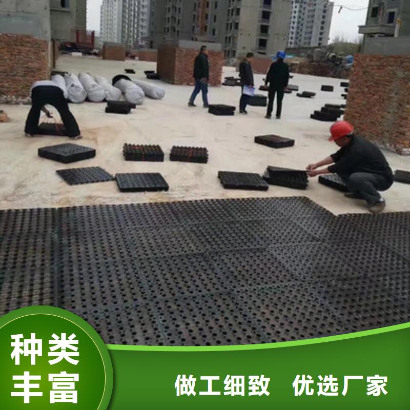 塑料排水板双向塑料土工格栅经久耐用