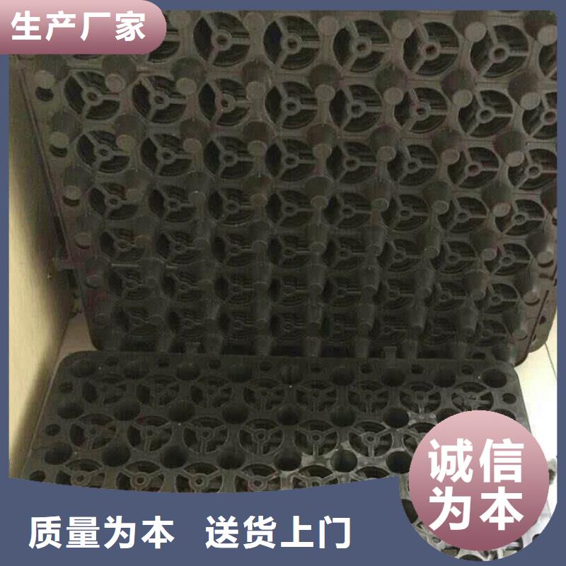 【塑料排水板聚丙烯双拉土工格栅用心做产品】