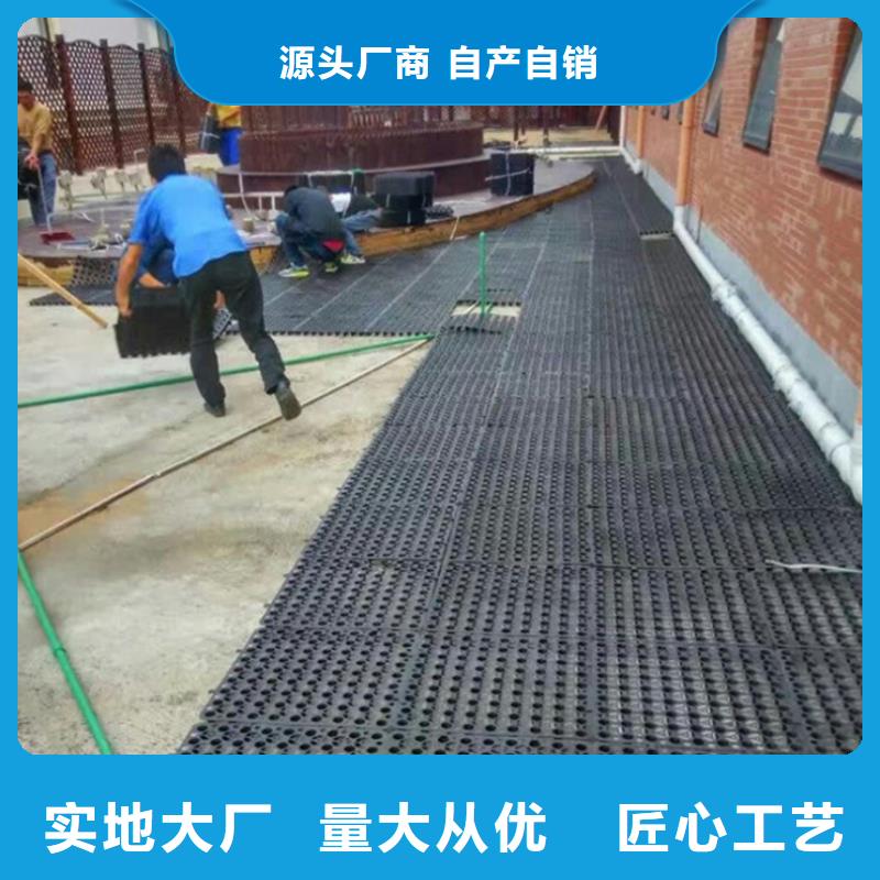 塑料排水板聚丙烯双拉土工格栅懂您所需