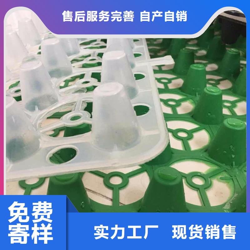 塑料排水板硬式透水管当日价格