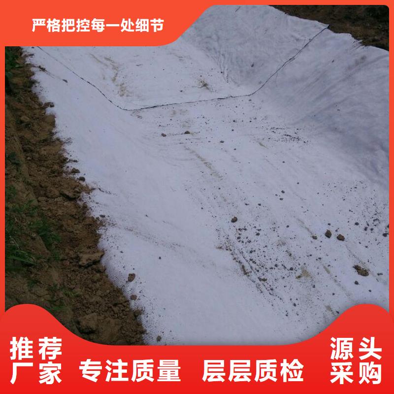 防水毯钢塑土工格栅厂家N年专注