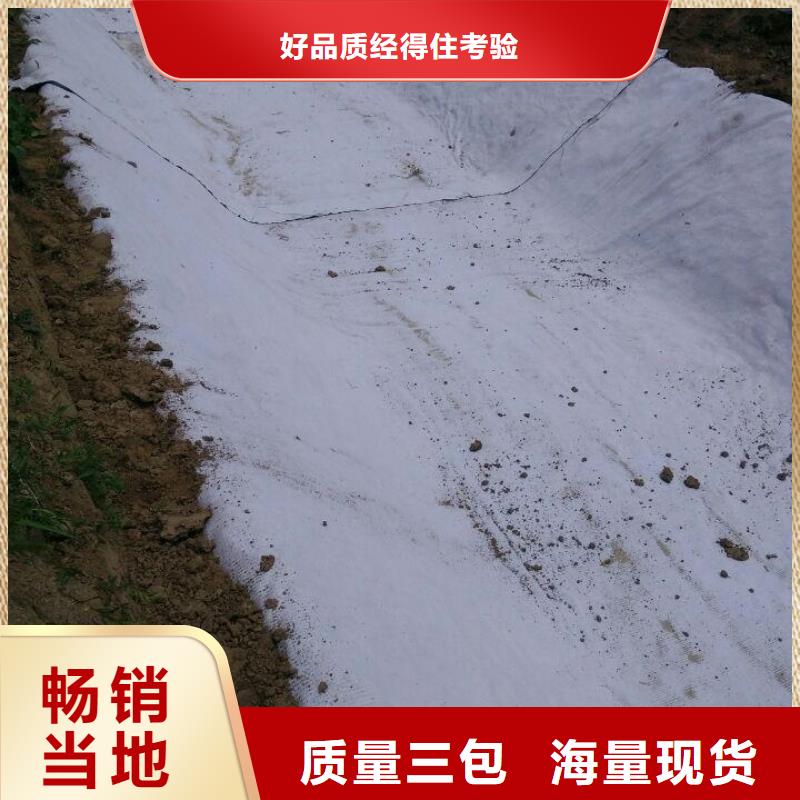 防水毯凸结点钢塑土工格栅订制批发