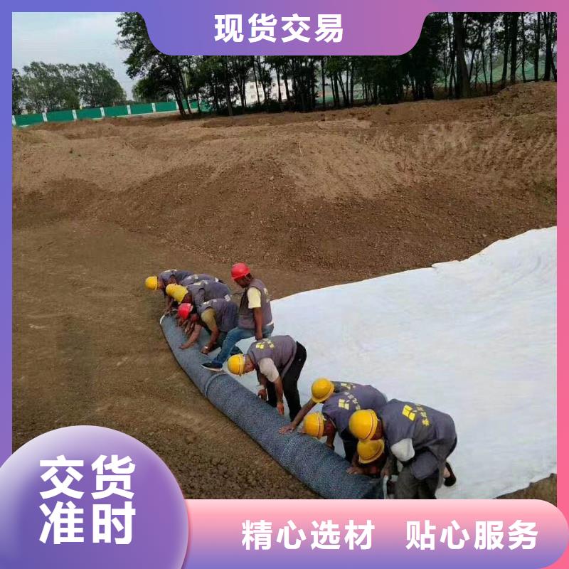 防水毯聚丙烯双拉土工格栅市场行情