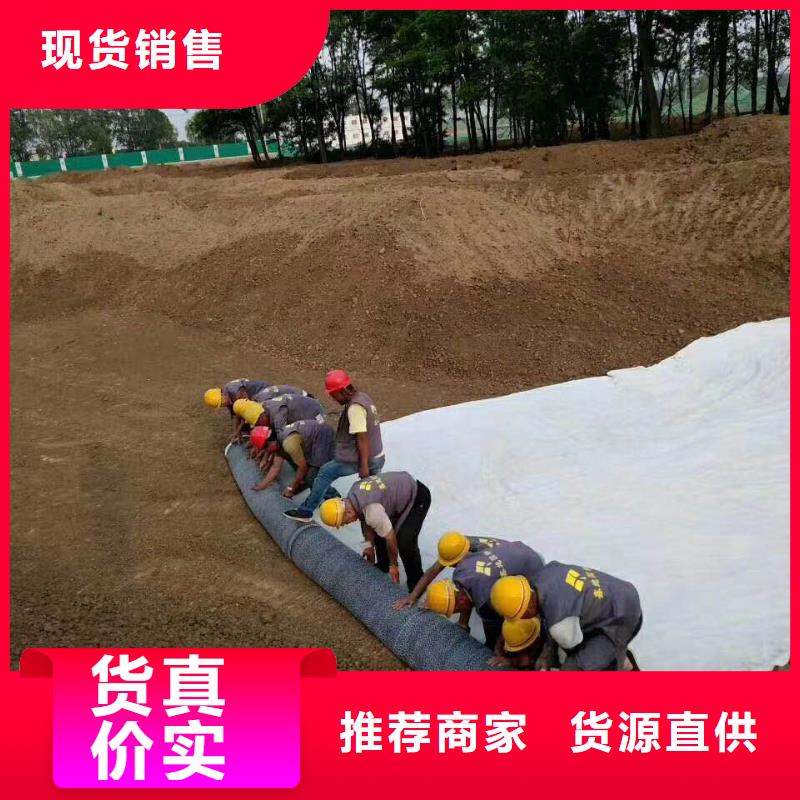 【防水毯钢塑土工格栅多年实力厂家】