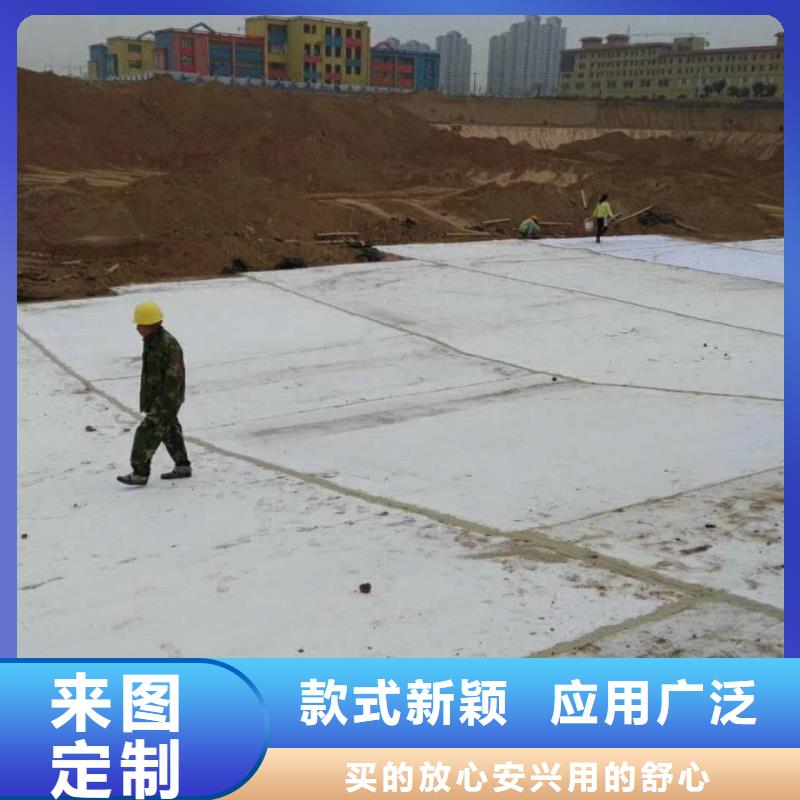 防水毯聚丙烯双拉土工格栅市场行情