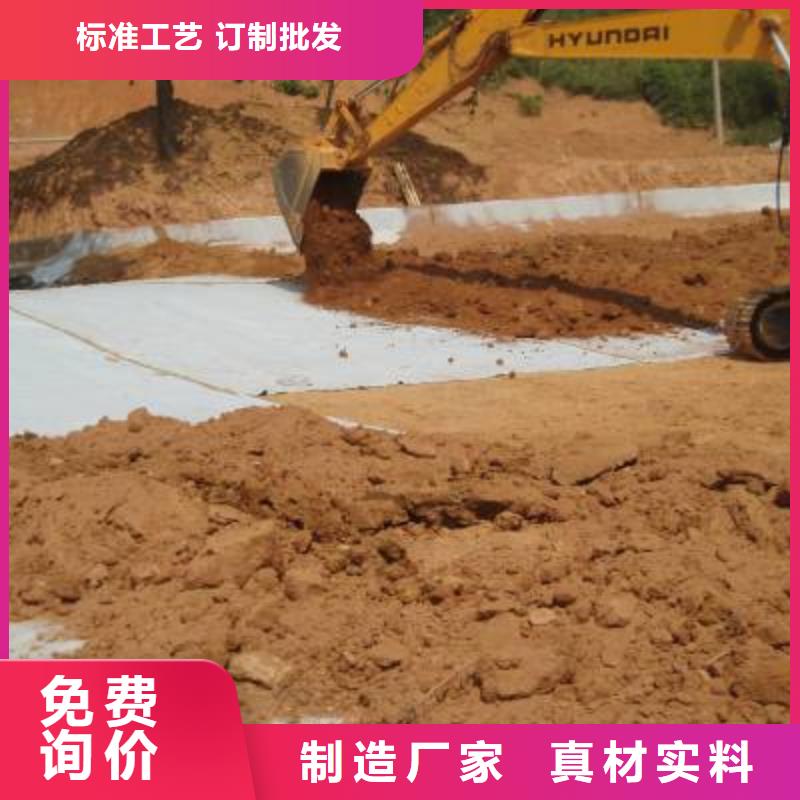 防水毯钢塑土工格栅厂家品质过硬