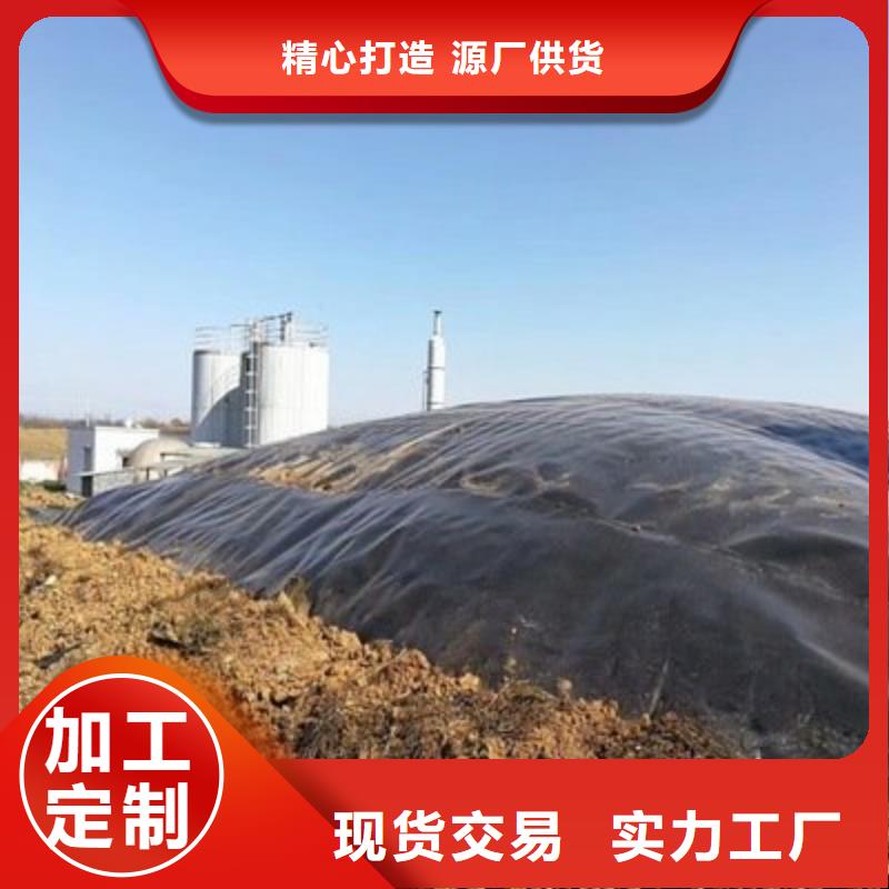 土工膜-涤纶土工格栅实力公司