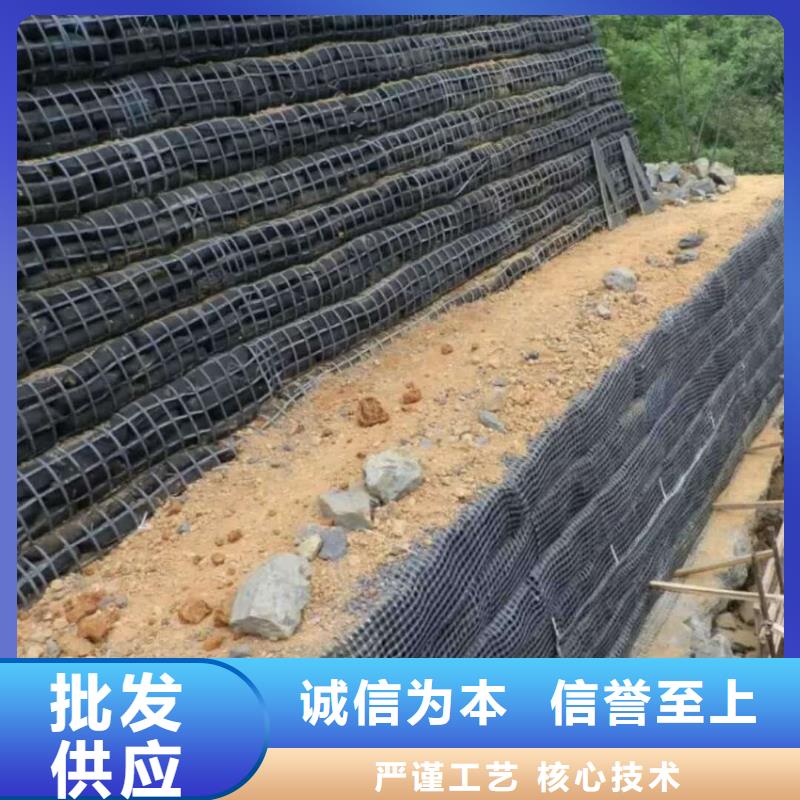 土工格栅聚丙烯双拉土工格栅工程施工案例