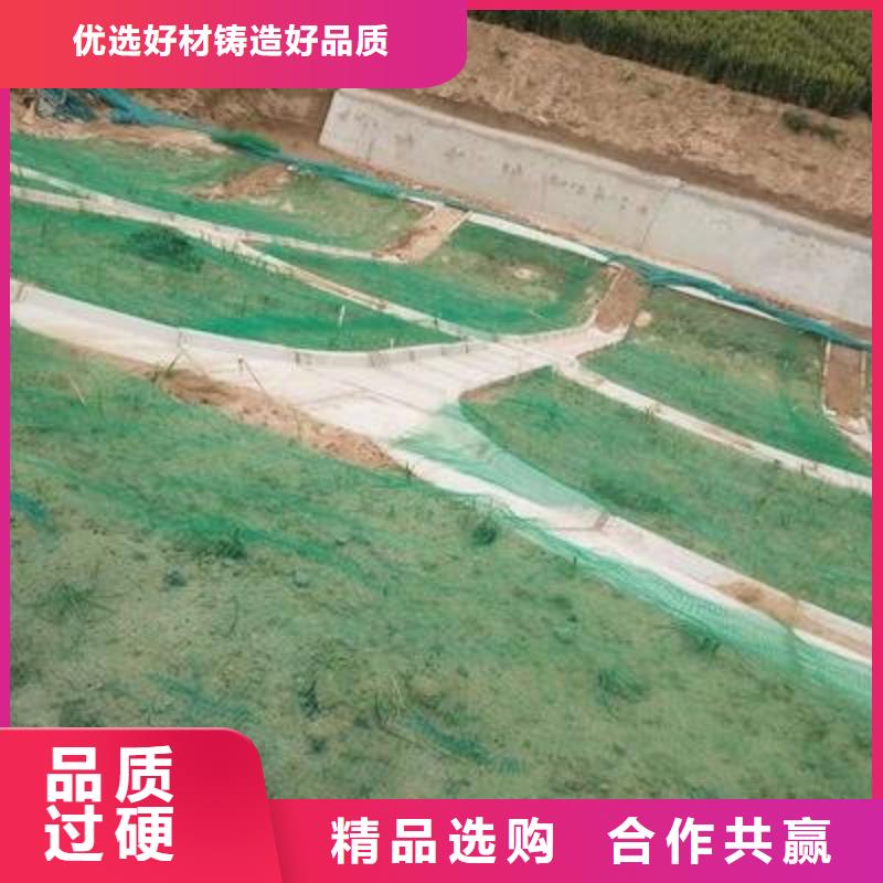 三维植被网,钢塑土工格栅闪电发货