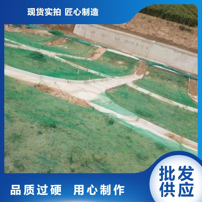 【三维植被网】三维水土保护毯采购无忧