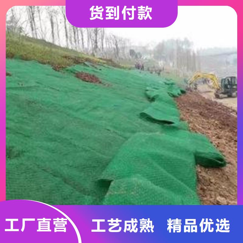 【三维植被网单向塑料土工格栅市场报价】