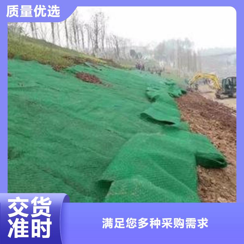 三维植被网_涤纶土工格栅质量检测