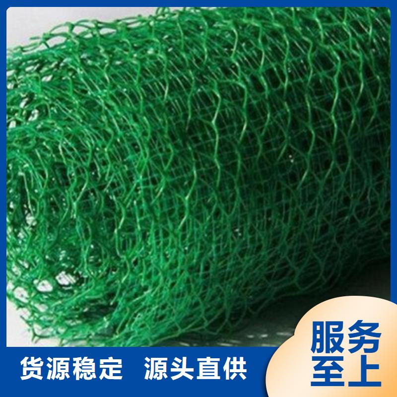 三维植被网【多向塑料土工格栅】为您精心挑选