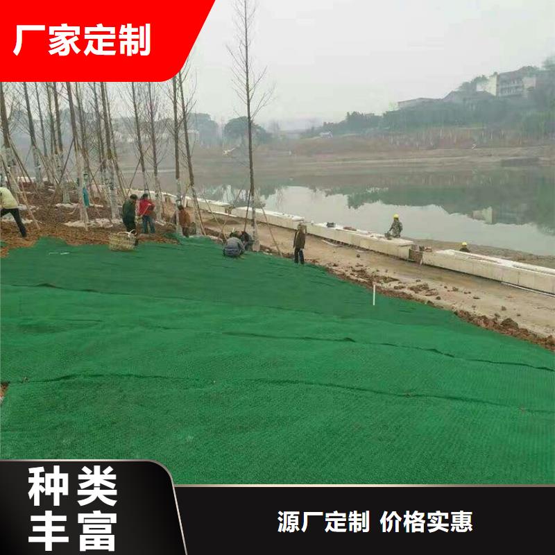 三维植被网玻璃纤维土工格栅型号齐全