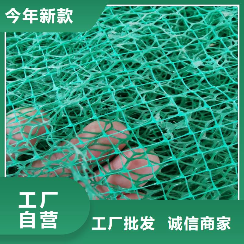 三维植被网涤纶土工格栅可零售可批发