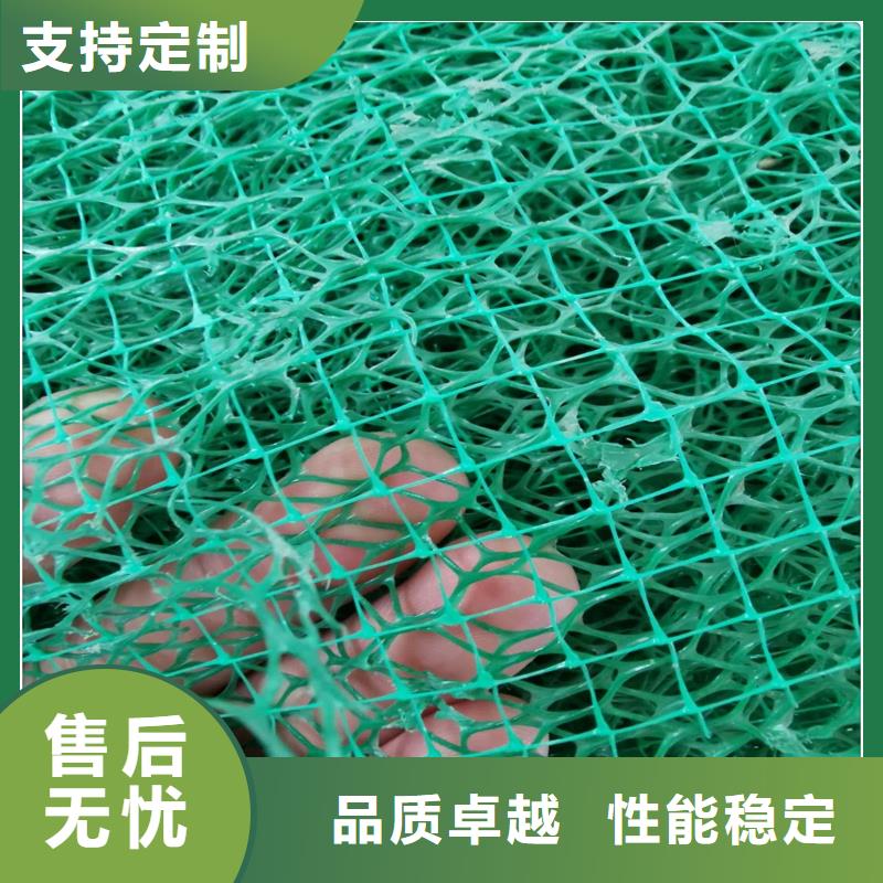 三维植被网,单向塑料土工格栅订购