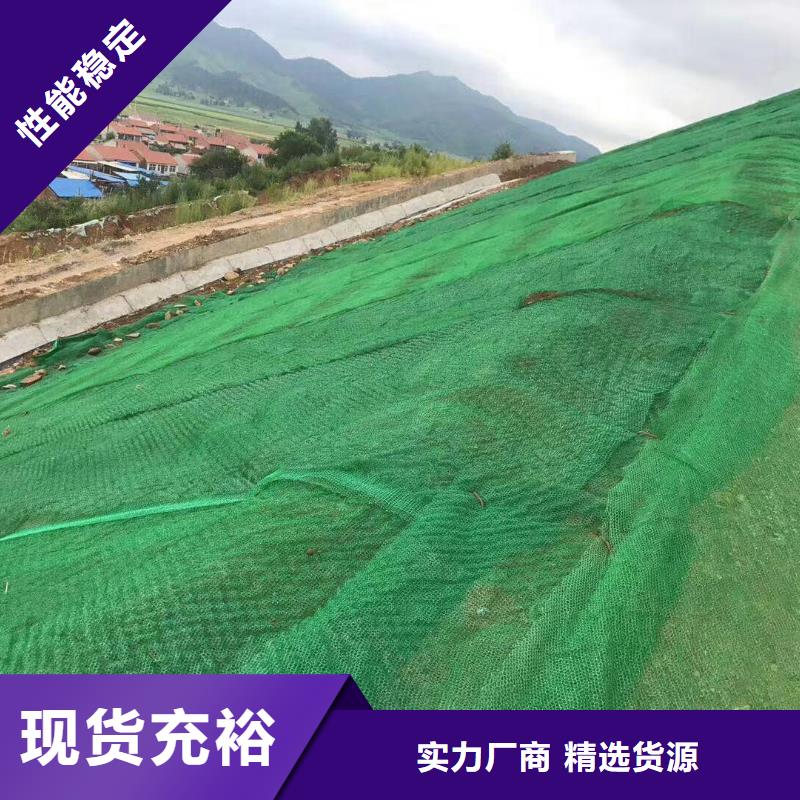 【三维植被网】三维水土保护毯产品优势特点