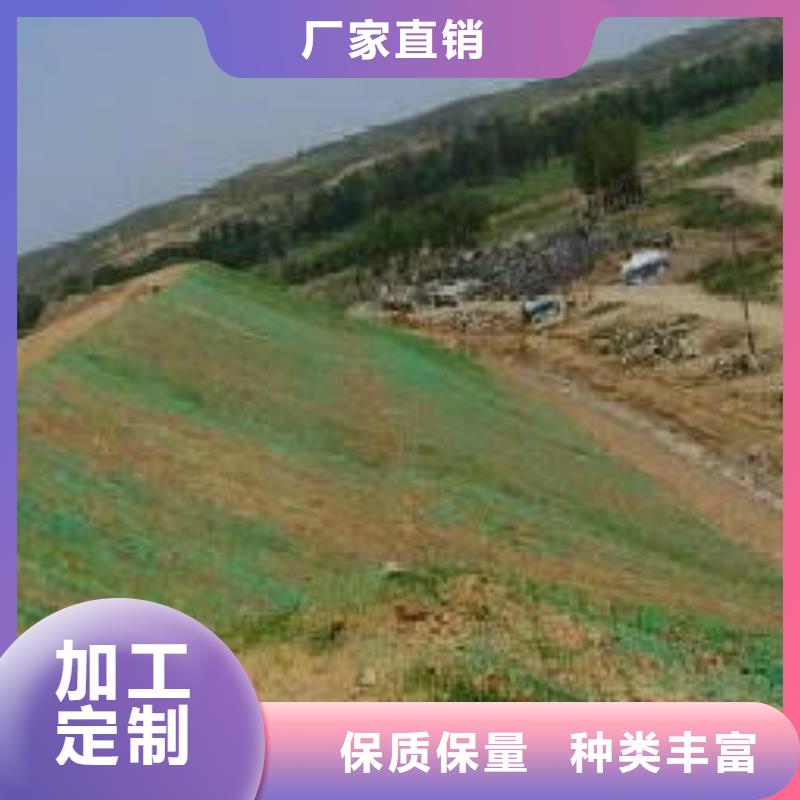 三维植被网玻璃纤维土工格栅型号齐全