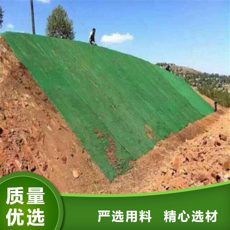 三维植被网钢塑土工格栅价格实惠工厂直供