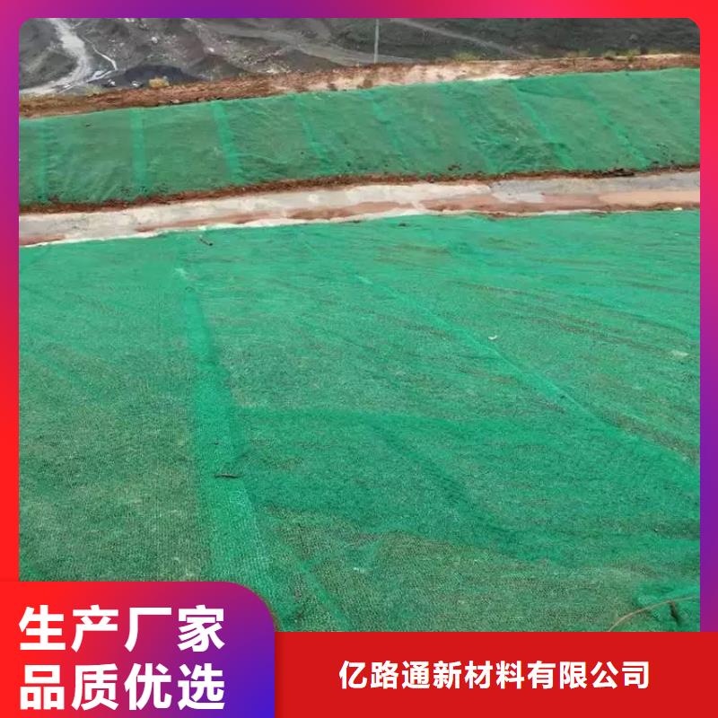 【三维植被网】双向塑料土工格栅一站式服务