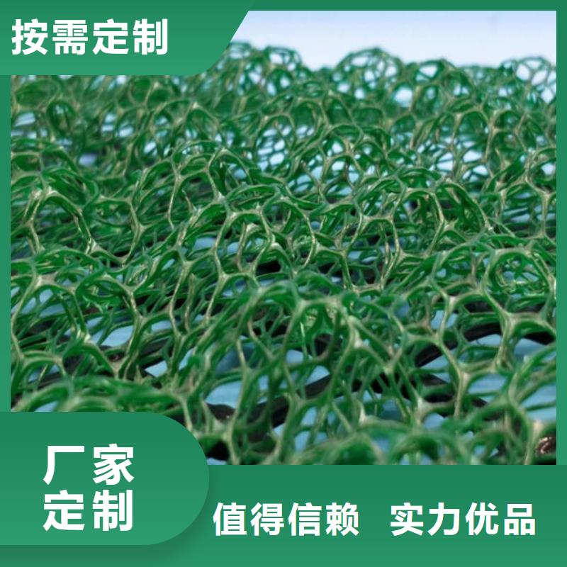 【三维植被网】涤纶土工格栅今日新品