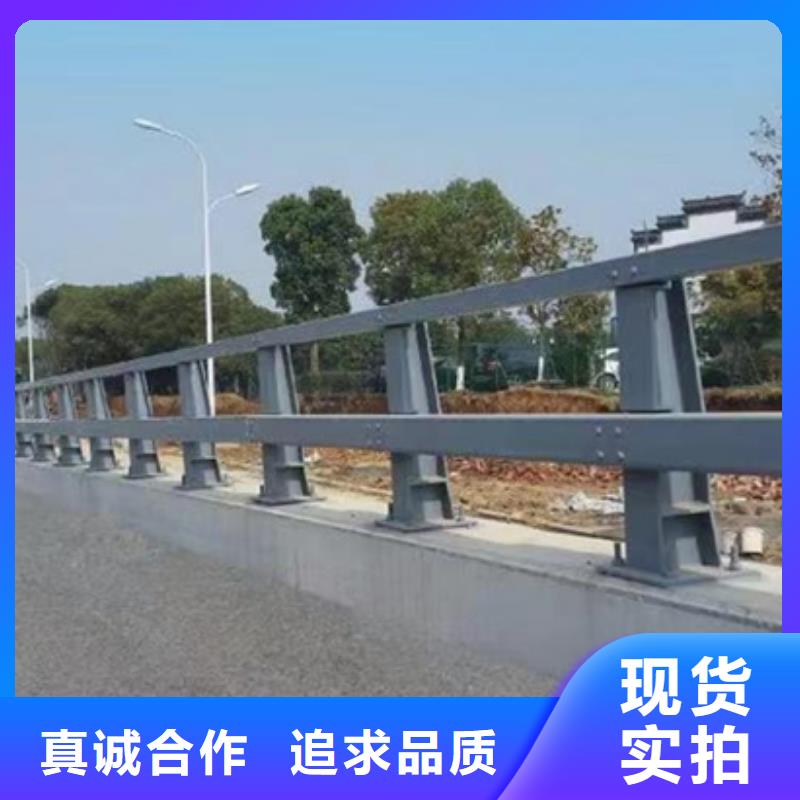 护栏【市政道路防护栏】厂家大量现货