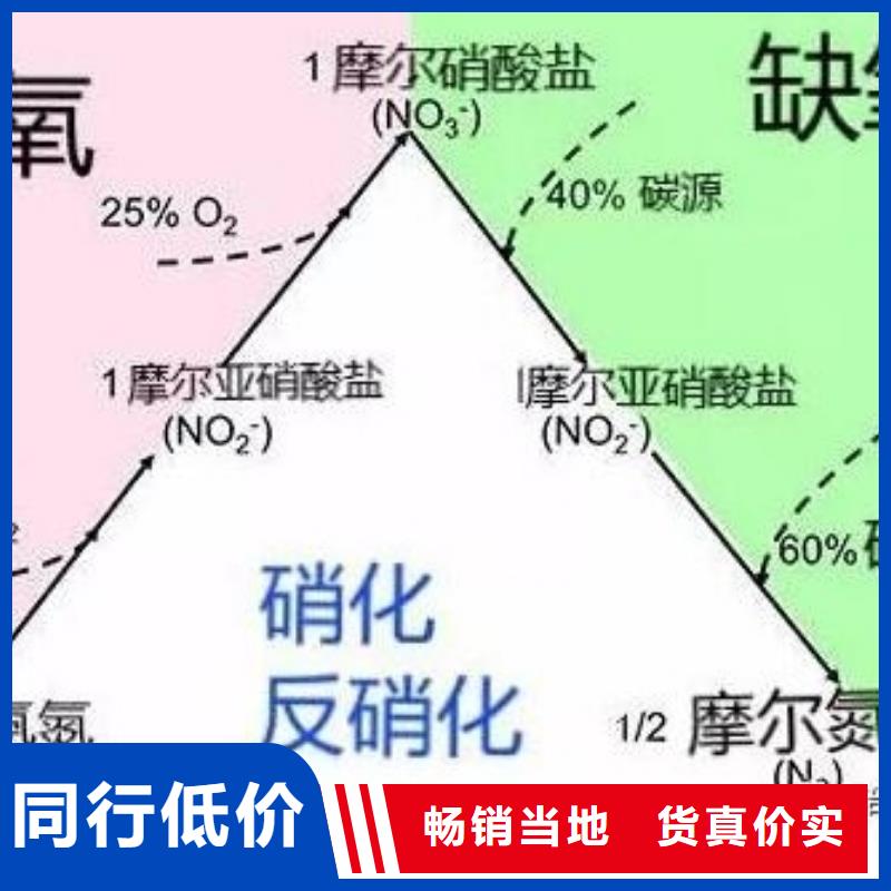 碳源可定制