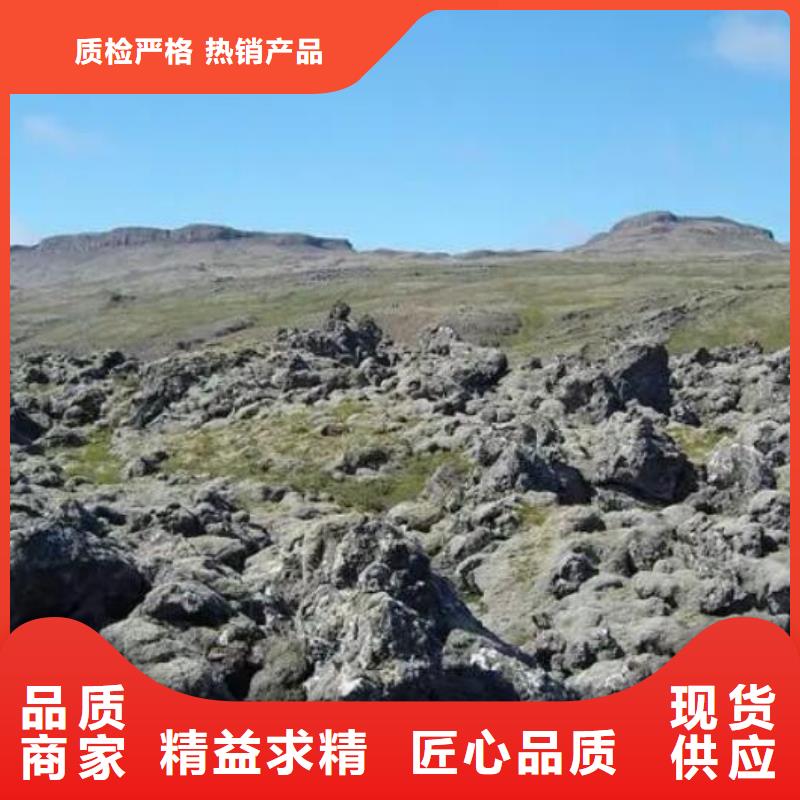 活山岩生物球填料可放心采购