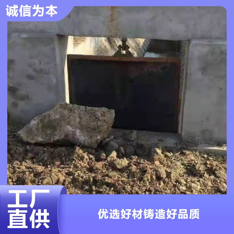 附壁式铸铁闸门可定制