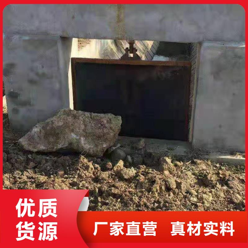 双向止水闸门源头生产厂家陵水县