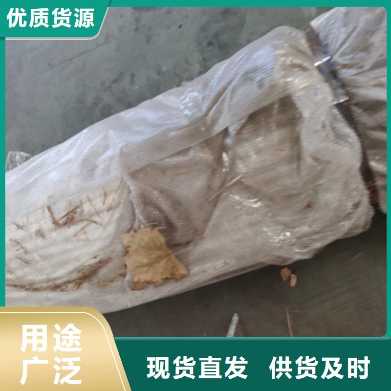 防撞铁艺护栏高强度耐腐蚀