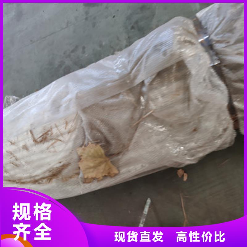 防撞栏杆现货供应