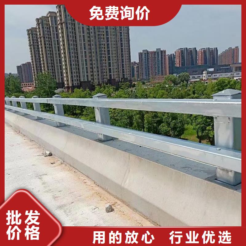 【道路护栏_【市政护栏】实体厂家支持定制】