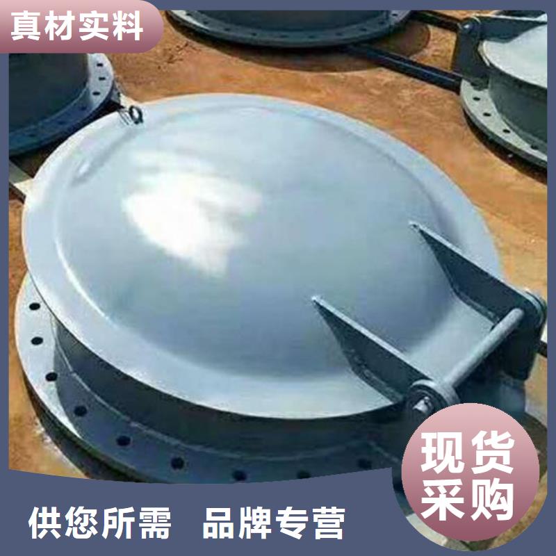 【拍门】钢制拍门品质无所畏惧
